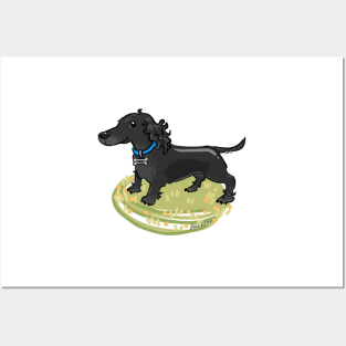 Dachshund Tanky Posters and Art